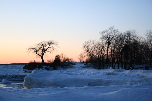 [Picture: Sunset with tree 2]