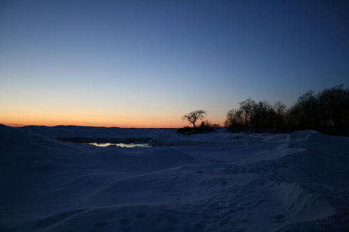 [Picture: Sunset with tree 4]