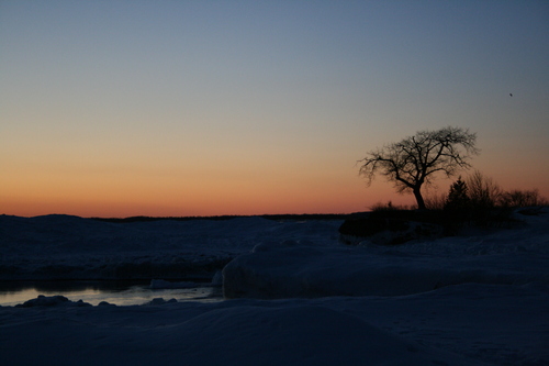 [Picture: Sunset with tree 5]