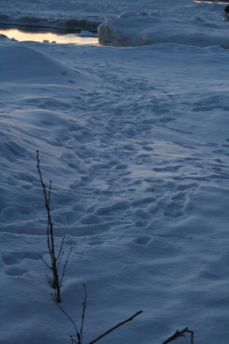 [Picture: Footprints in the snow 1]