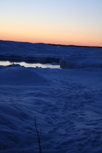 [Picture: Footprints in the snow 2]