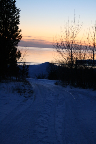 [Picture: Path to the beach 2]