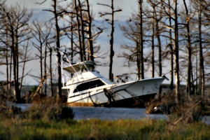 [picture: Crashed boat 2]