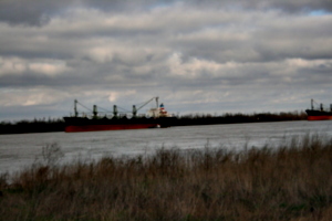 [Picture: Cargo ship]