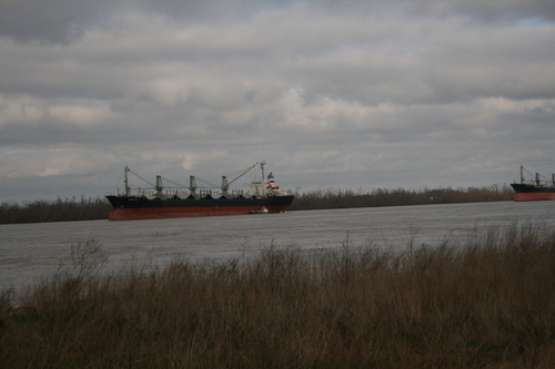 [Picture: Cargo ship]