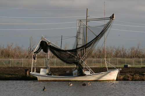 [Picture: Fishing boat]