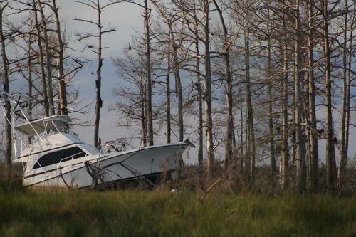 [Picture: Crashed boat 3]