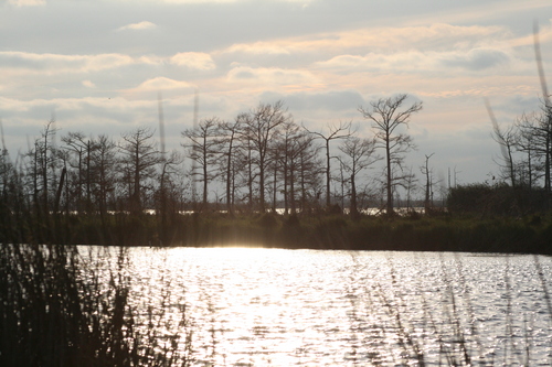 [Picture: Louisiana Sunset 1]