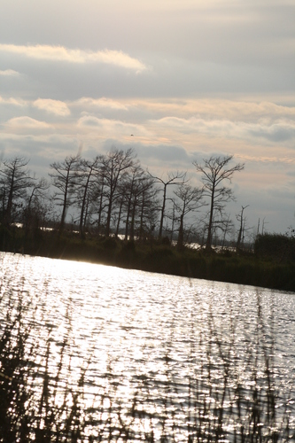 [Picture: Louisiana Sunset 2]