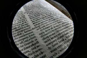 [picture: Closeup words 11: company of elect souls (wide-angle fish-eye)]