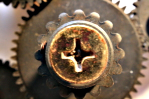 [picture: Cogs 18: brass screw From above]