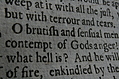 [Picture: Closeup words 6: O brutish and sensual men, contempt of Gods anger!]