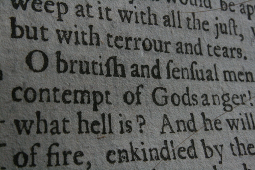 [Picture: Closeup words 6: O brutish and sensual men, contempt of Gods anger!]