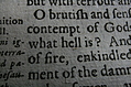 [Picture: Closeup words 7: what hell is?]