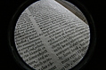 [Picture: Closeup words 11: company of elect souls (wide-angle fish-eye)]