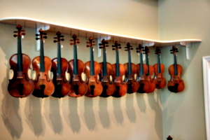[picture: Violins 4]