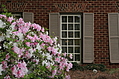 [Picture: Window with shutters and flowers 1]
