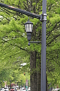[Picture: Lamp-post]