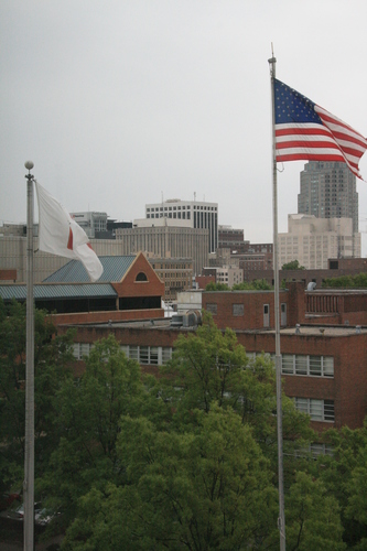 [Picture: View from the hotel window 1]