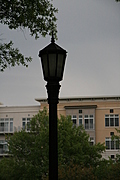 [Picture: dark lamp-post 1]