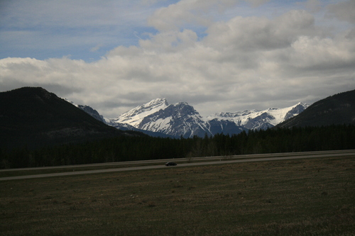 [Picture: From the shuttle-bus on the way]