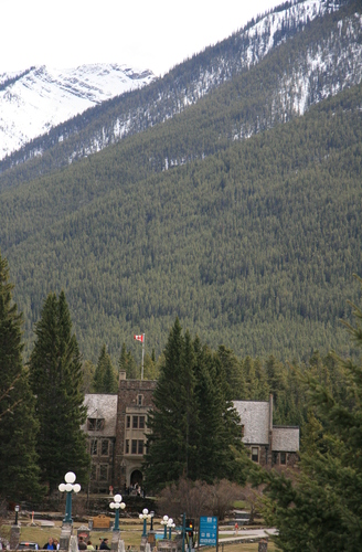 [Picture: Place with trees and mountain]