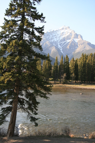 [Picture: Trees and river]