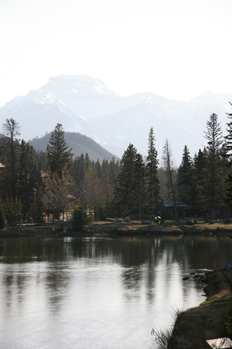 [Picture: Trees reflected in the lake]