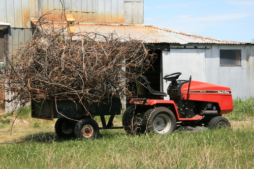 [Picture: Tractor 1]