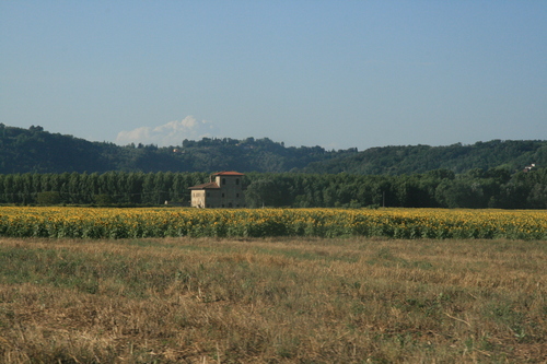[Picture: Tuscany Field]