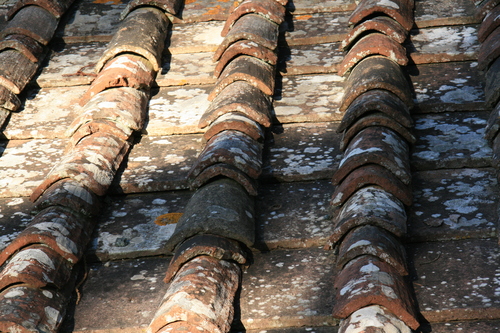 [Picture: Roof tiles 1]