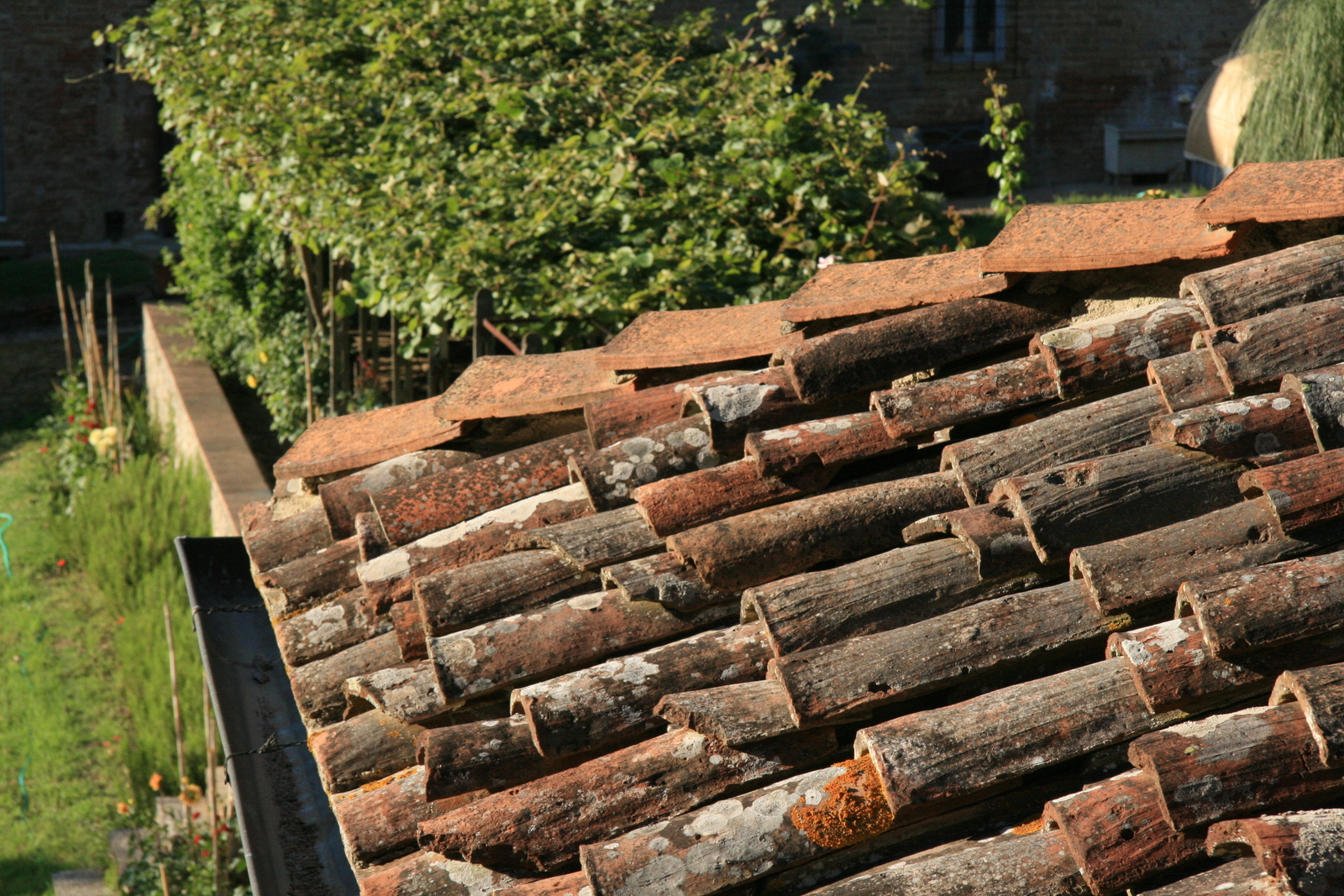 [Picture: Roof tiles 2]