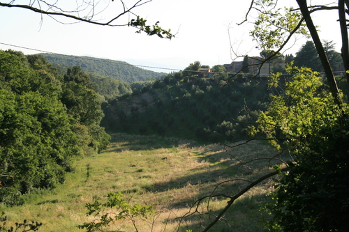 [Picture: Tuscan Hillside]