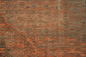 [picture: Church of San Giorgio dei Tedeschi 4: brick wall]