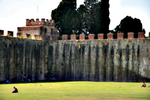 [picture: Field of Dreams: the castle walls 1]
