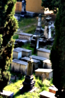 [picture: Jewish Cemetary 1: far away]