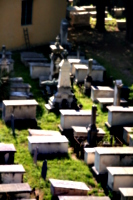 [picture: Jewish Cemetary 10: rows]