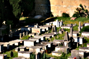 [picture: Jewish Cemetary 18: rows of tombs]