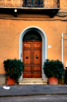 [picture: Wooden door in arched entrance]