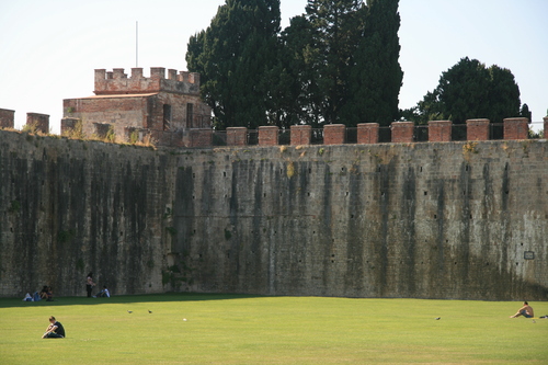 [Picture: Field of Dreams: the castle walls 1]