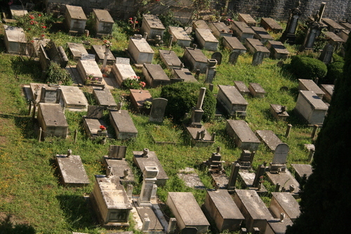 [Picture: Jewish Cemetary 3: field of dreams]