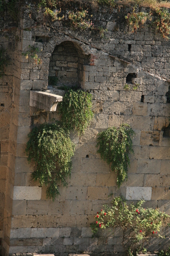 [Picture: Jewish Cemetary 5: overgrown walls]