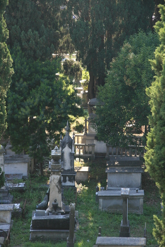 [Picture: Jewish Cemetary 6: A quiet shelter]