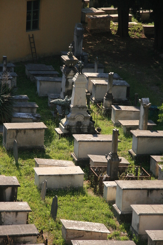 [Picture: Jewish Cemetary 10: rows]