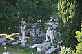 [Picture: Jewish Cemetary 12: monuments]