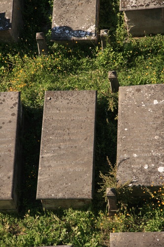 [Picture: Jewish Cemetary 13: Carolina Essinger]