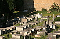 [Picture: Jewish Cemetary 18: rows of tombs]