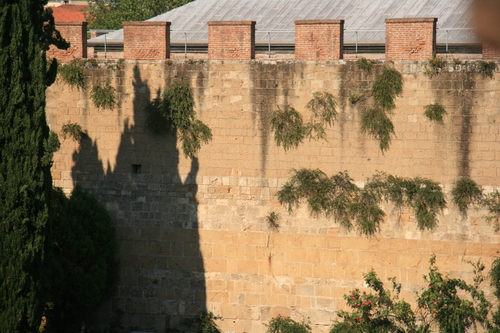 [Picture: Jewish Cemetary 19: City wall]