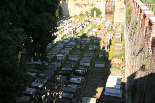 [Picture: Jewish Cemetary 22: Looking down]