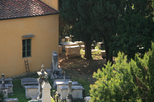 [Picture: Jewish Cemetary 25: Trees]